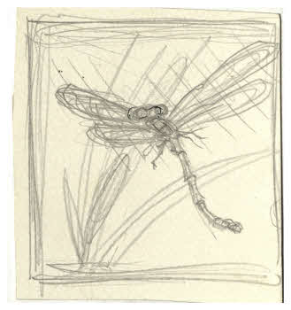 Visualizza l'immagine "FD D 349"